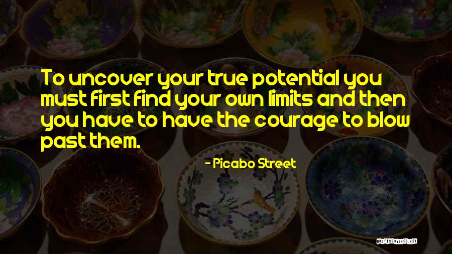 Courage Sports Quotes By Picabo Street Courage Sports Quotes By Picabo Street