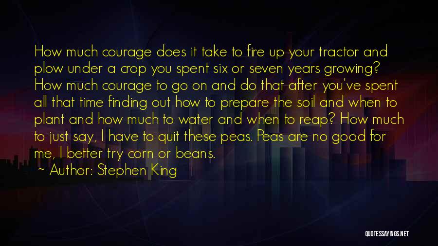 Courage To Go On Quotes By Stephen King