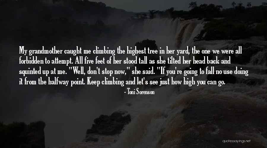 Courage To Keep Going Quotes By Toni Sorenson Courage To Keep Going Quotes By Toni Sorenson