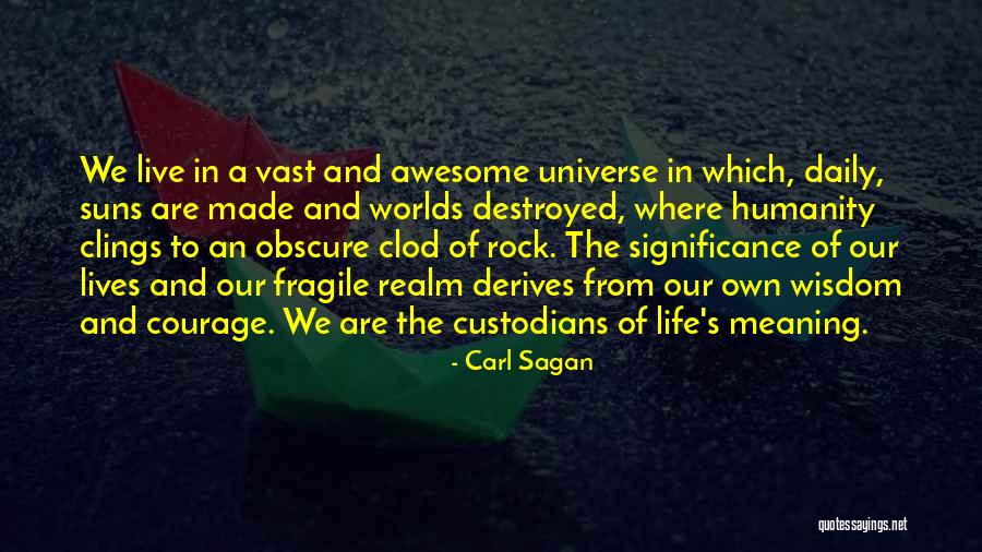 Courage To Live Life Quotes By Carl Sagan