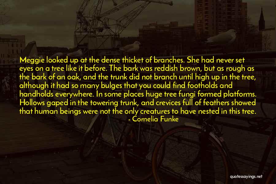 Courgette Flowers Quotes By Cornelia Funke Courgette Flowers Quotes By Cornelia Funke