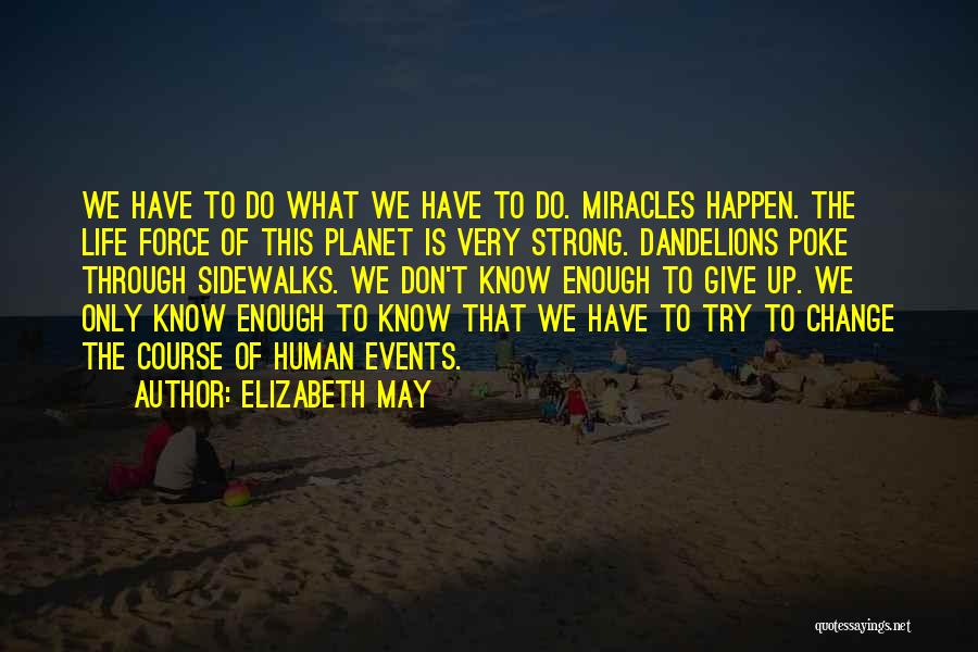 Course Miracles Quotes By Elizabeth May