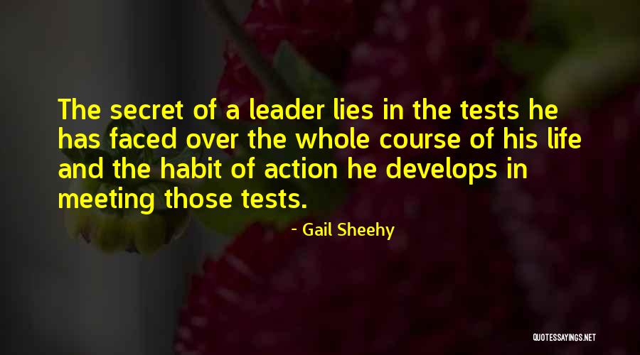 Course Of Action Quotes By Gail Sheehy Course Of Action Quotes By Gail Sheehy