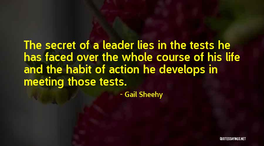 Course Of Action Quotes By Gail Sheehy