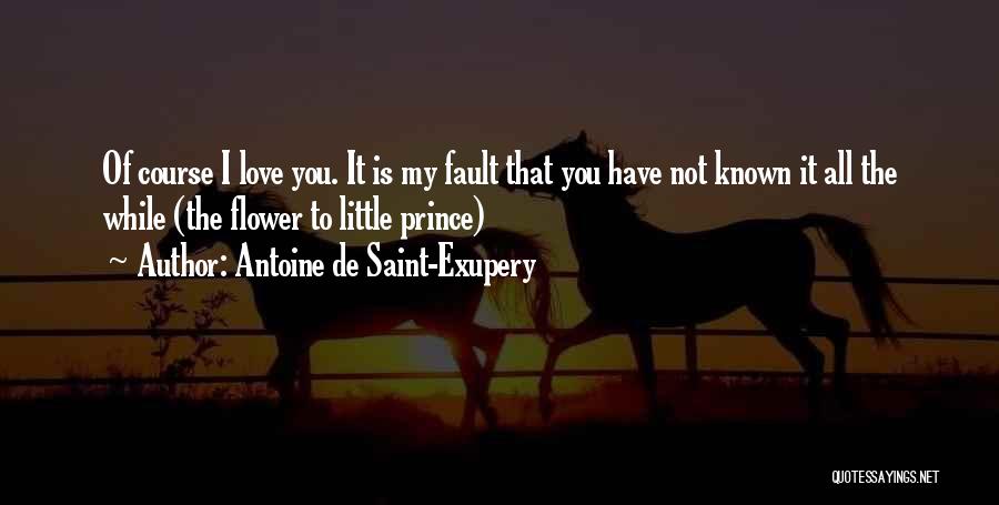 Course Of Love Quotes By Antoine De Saint-Exupery