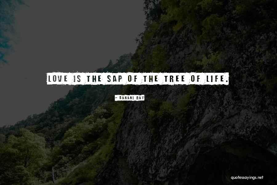 Course Thats A Cakewalk Quotes By Banani Ray Course Thats A Cakewalk Quotes By Banani Ray