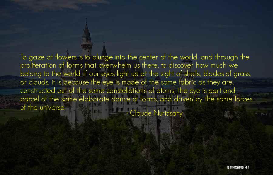 Court At Round Rock Quotes By Claude Nuridsany Court At Round Rock Quotes By Claude Nuridsany