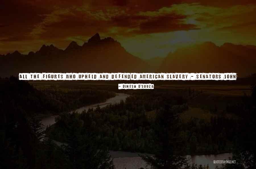 Court Justice Quotes By Dinesh D'Souza Court Justice Quotes By Dinesh D'Souza