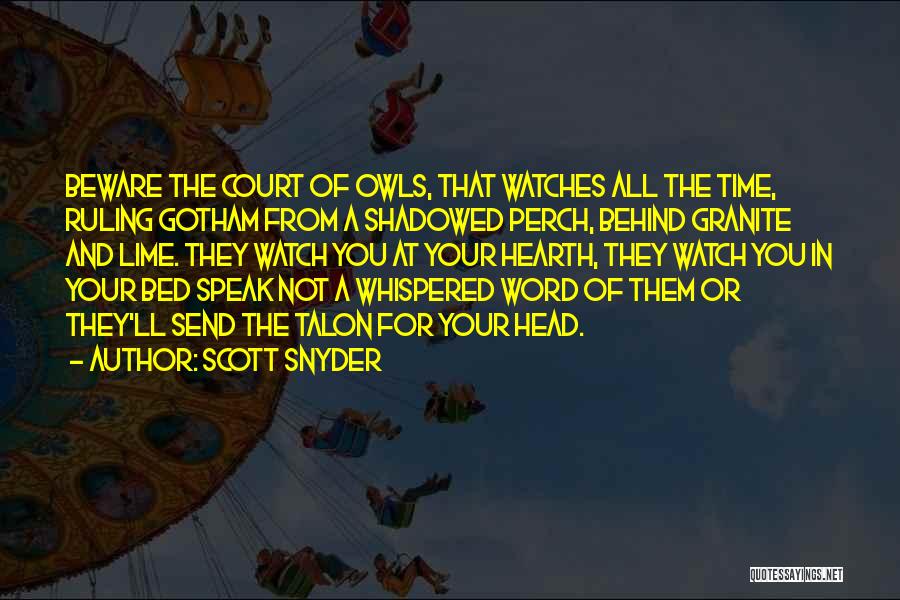 Court Ruling Quotes By Scott Snyder