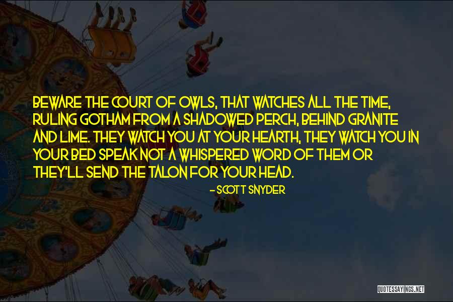 Court Ruling Quotes By Scott Snyder