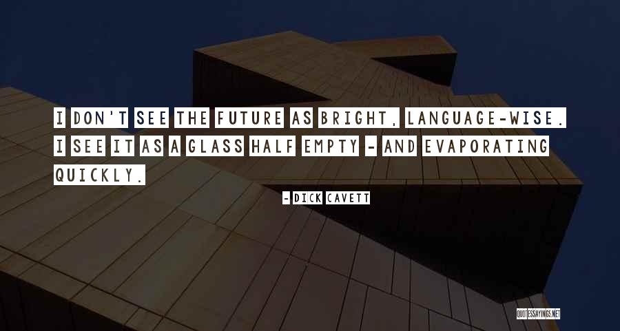 Courteau Peintre Quotes By Dick Cavett Courteau Peintre Quotes By Dick Cavett