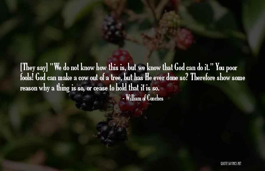 Courteeners Not Nineteen Quotes By William Of Conches Courteeners Not Nineteen Quotes By William Of Conches