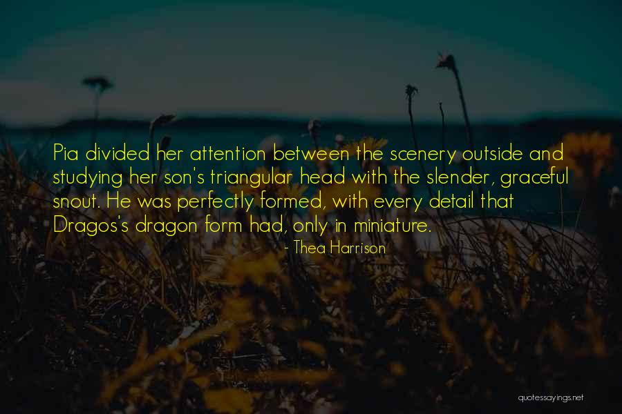 Courtelis Construction Quotes By Thea Harrison Courtelis Construction Quotes By Thea Harrison