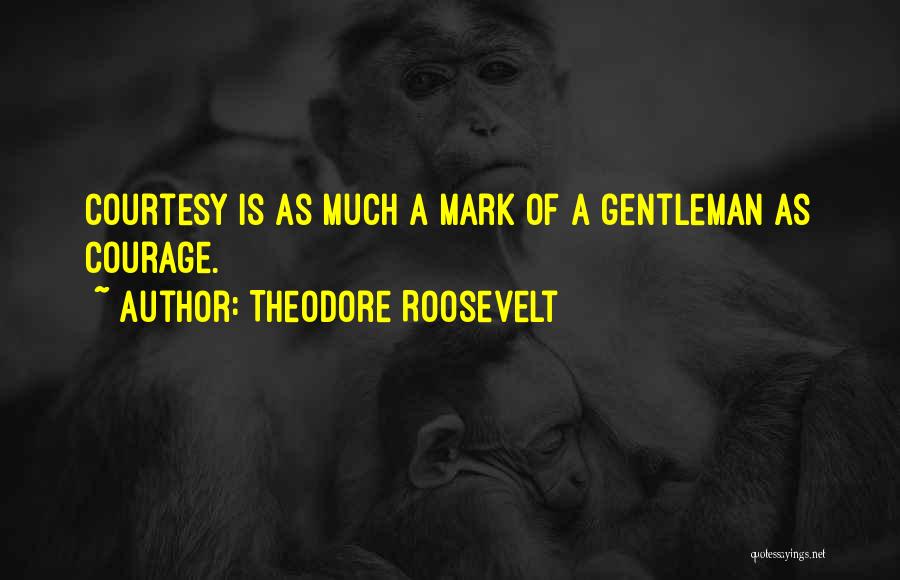 Courtesy Quotes By Theodore Roosevelt