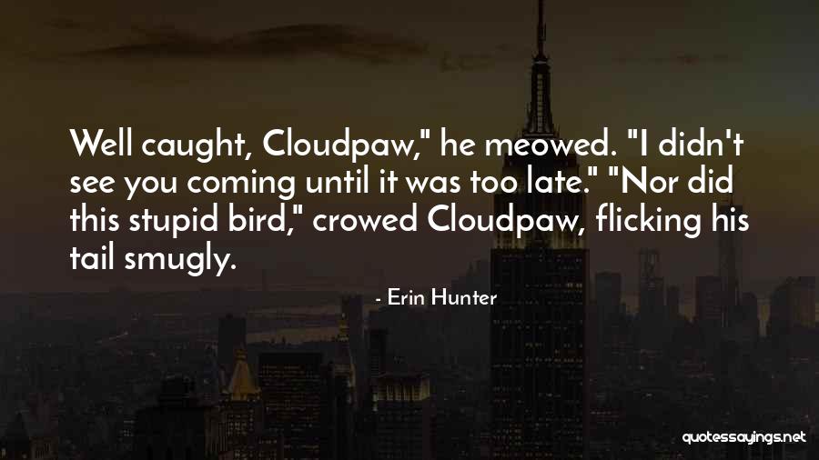 Courtoisie Def Quotes By Erin Hunter Courtoisie Def Quotes By Erin Hunter