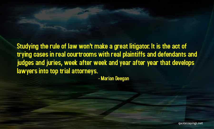 Courtrooms Quotes By Marian Deegan