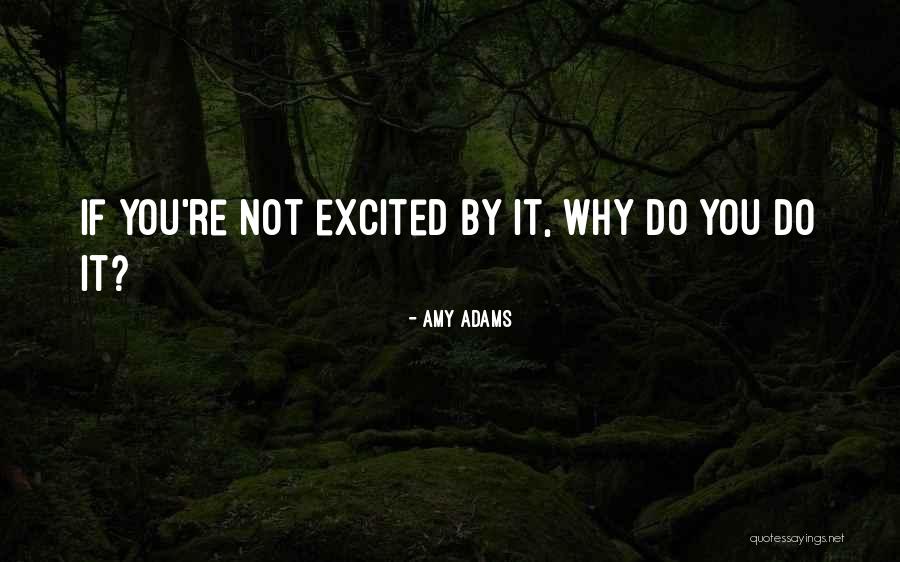 Courtships Of Lancaster Quotes By Amy Adams
