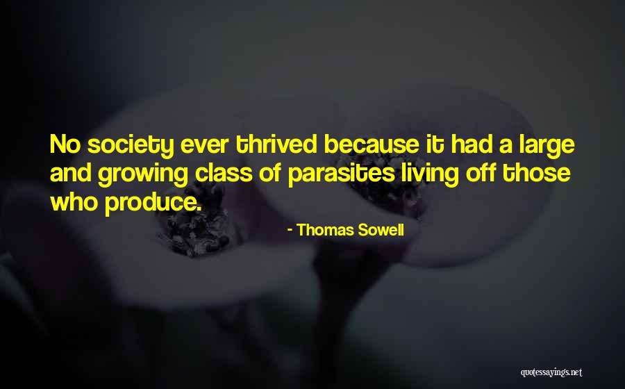 Courvoisier Liquor Quotes By Thomas Sowell Courvoisier Liquor Quotes By Thomas Sowell
