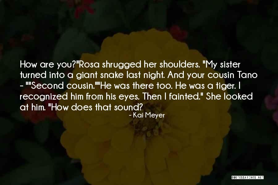 Cousin And Sister Quotes By Kai Meyer