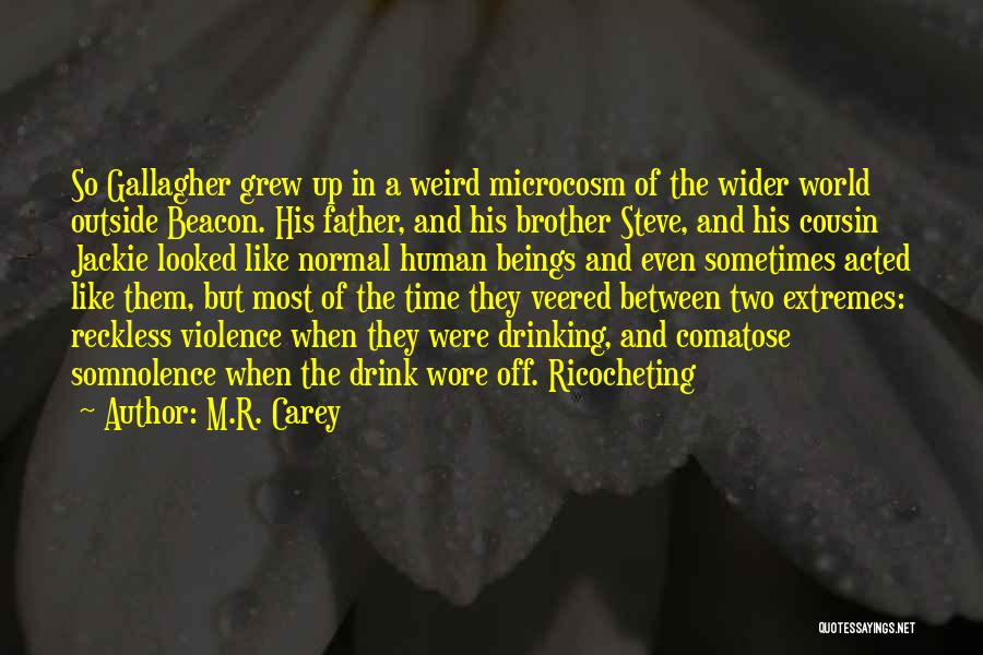 Cousin Like Brother Quotes By M.R. Carey