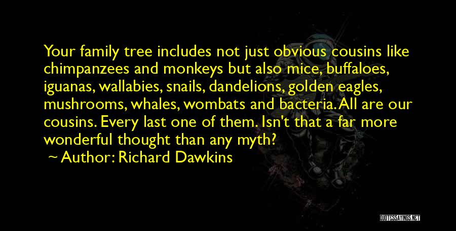 Cousins And Family Quotes By Richard Dawkins