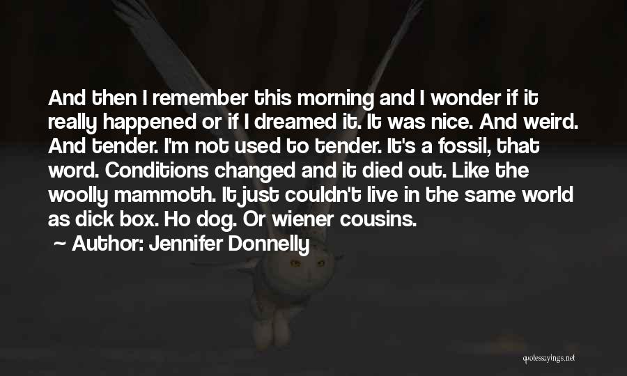 Cousins In Love With Each Other Quotes By Jennifer Donnelly