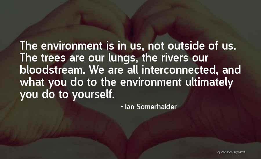 Coussins Marocains Quotes By Ian Somerhalder Coussins Marocains Quotes By Ian Somerhalder