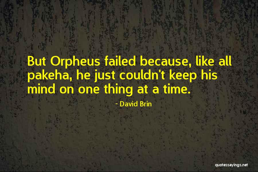 Covatta Garden Quotes By David Brin Covatta Garden Quotes By David Brin