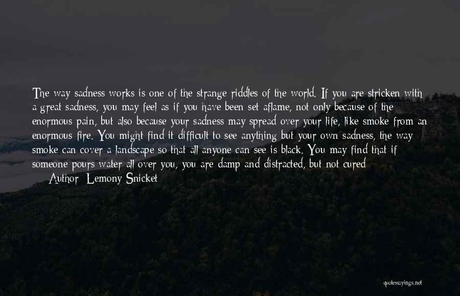 Cover Up Sadness Quotes By Lemony Snicket