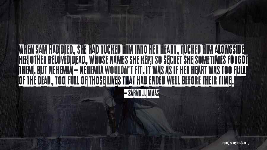 Coveralls Walmart Quotes By Sarah J. Maas Coveralls Walmart Quotes By Sarah J. Maas