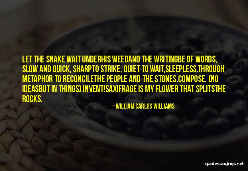 Coveram Quotes By William Carlos Williams Coveram Quotes By William Carlos Williams