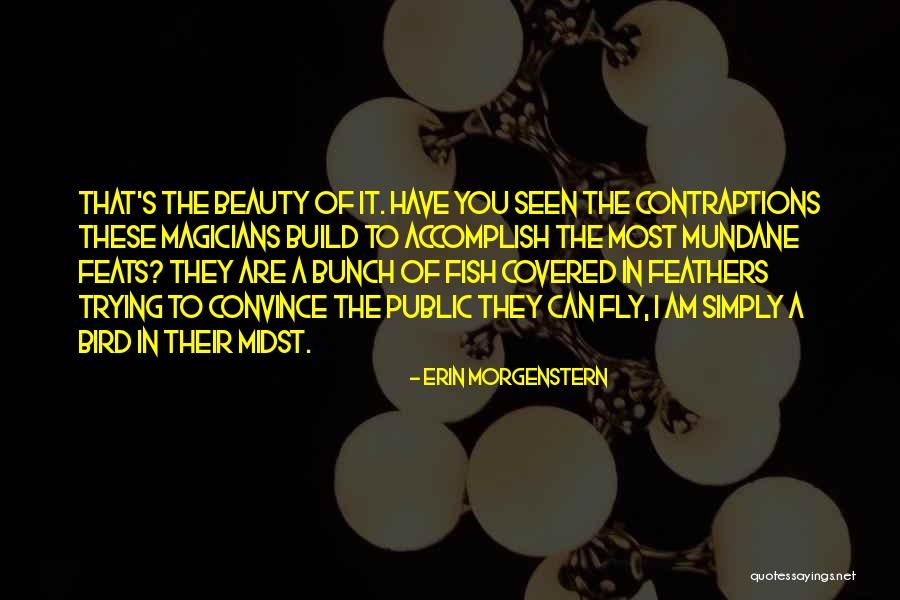 Covered Beauty Quotes By Erin Morgenstern