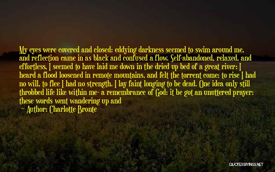 Covered Eyes Quotes By Charlotte Bronte