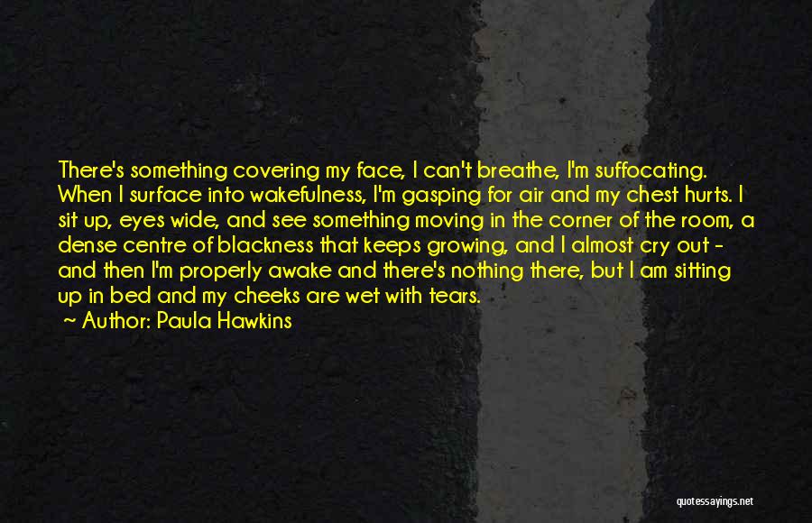 Covering Face Quotes By Paula Hawkins