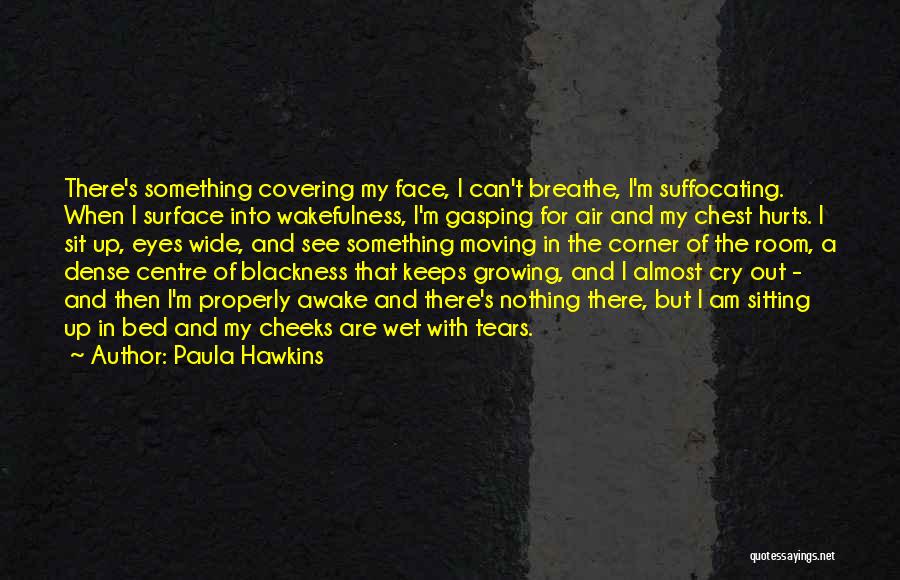 Covering My Face Quotes By Paula Hawkins