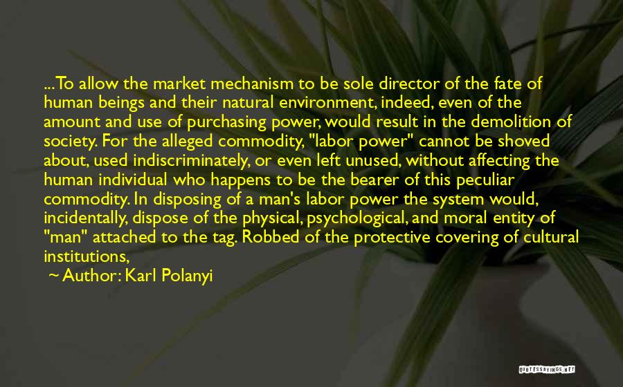 Covering Quotes By Karl Polanyi