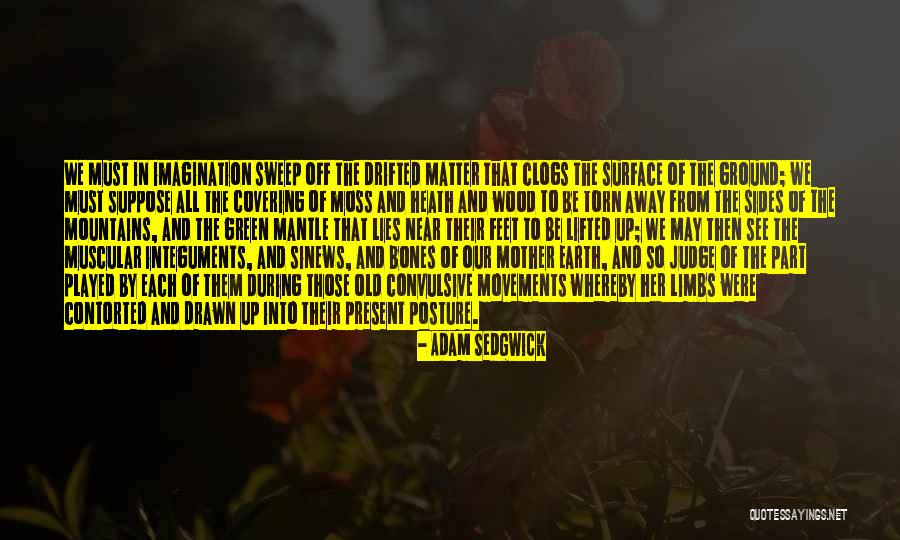 Covering Up For Others Quotes By Adam Sedgwick Covering Up For Others Quotes By Adam Sedgwick