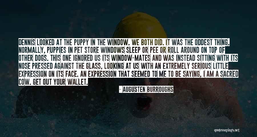 Cow Dogs Quotes By Augusten Burroughs Cow Dogs Quotes By Augusten Burroughs
