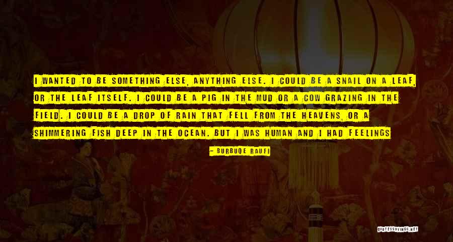 Cow Grazing Quotes By Burbuqe Raufi Cow Grazing Quotes By Burbuqe Raufi