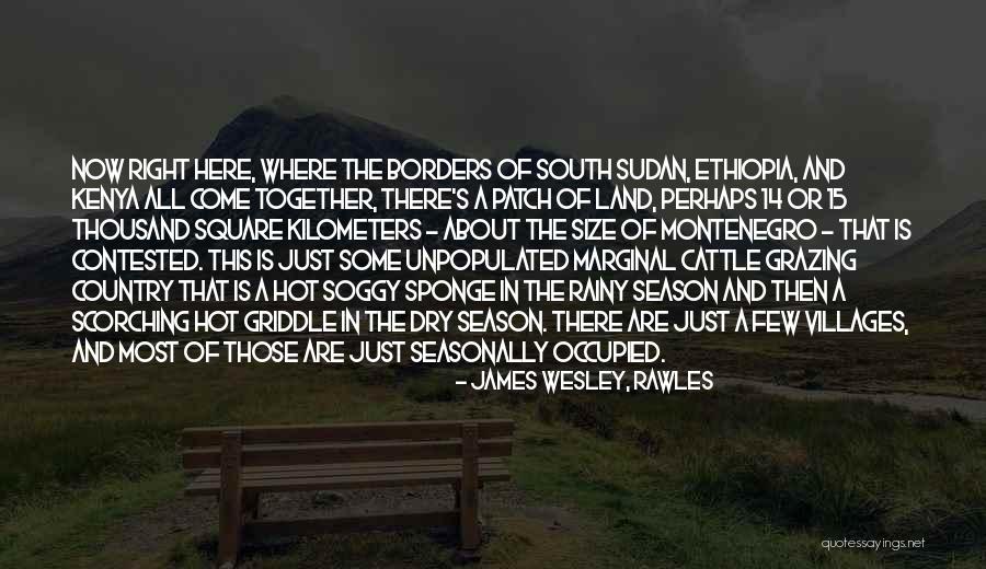 Cow Grazing Quotes By James Wesley, Rawles Cow Grazing Quotes By James Wesley, Rawles