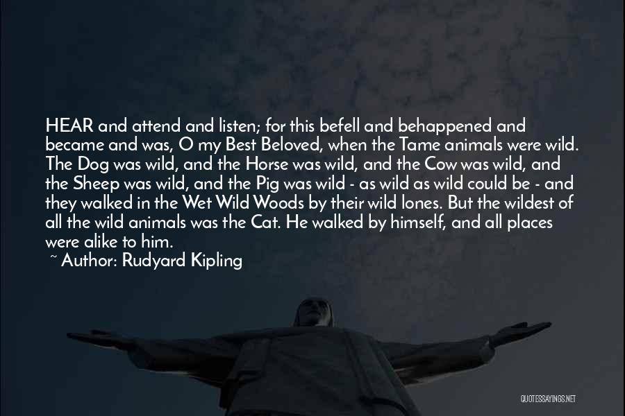 Cow Horse Quotes By Rudyard Kipling