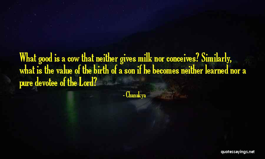 Cow Milk Quotes By Chanakya Cow Milk Quotes By Chanakya