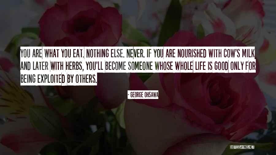 Cow Milk Quotes By George Ohsawa Cow Milk Quotes By George Ohsawa