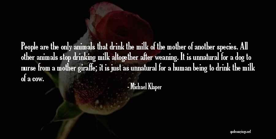 Cow Milk Quotes By Michael Klaper Cow Milk Quotes By Michael Klaper