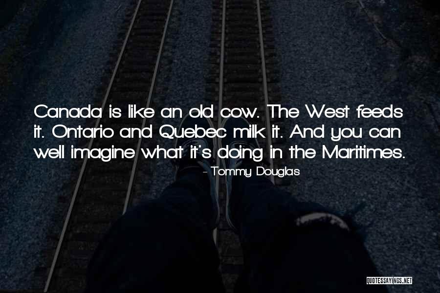 Cow Milk Quotes By Tommy Douglas Cow Milk Quotes By Tommy Douglas