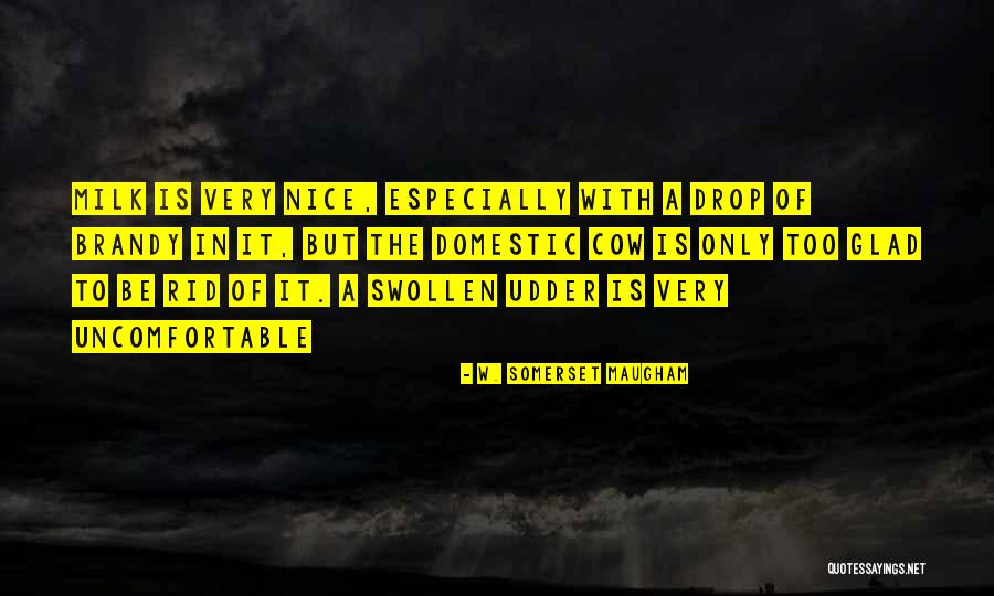 Cow Milk Quotes By W. Somerset Maugham Cow Milk Quotes By W. Somerset Maugham