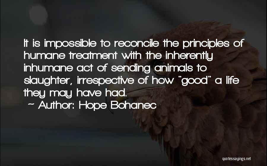 Cow Slaughter Quotes By Hope Bohanec