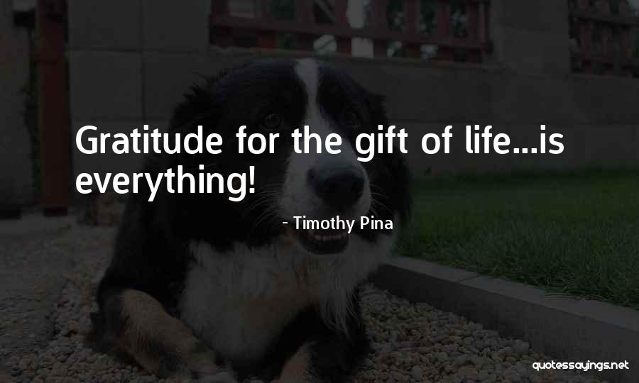 Cow Tails Quotes By Timothy Pina Cow Tails Quotes By Timothy Pina