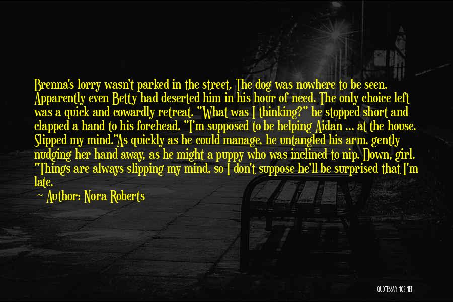 Cowardly Dog Quotes By Nora Roberts
