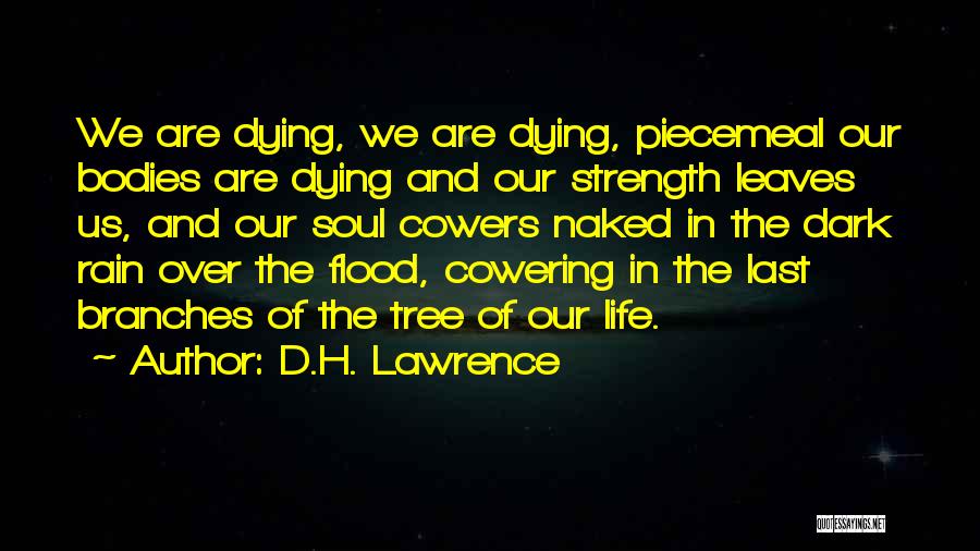 Cowering Quotes By D.H. Lawrence